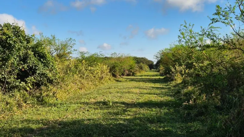 Terreno de 350 m² en venta en la urbanización Mamita de Cotoca: foto 2 de 9