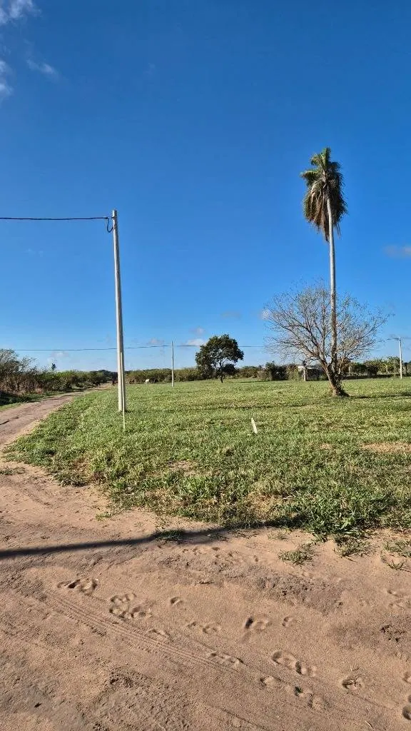 Terreno de 350 m² en venta en la urbanización Mamita de Cotoca: foto 5 de 9