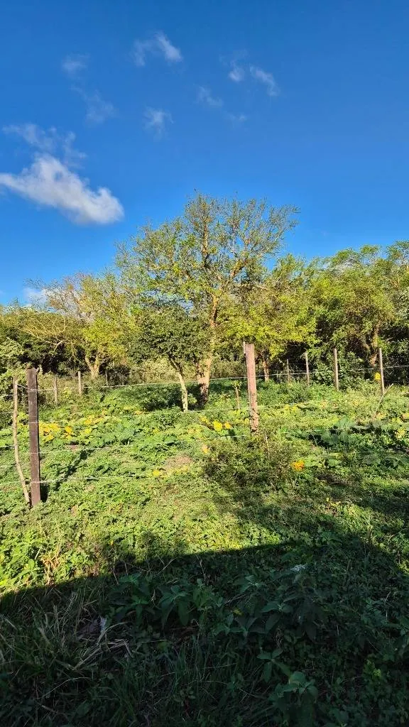 Terreno de 350 m² en venta en la urbanización Mamita de Cotoca: foto 8 de 9
