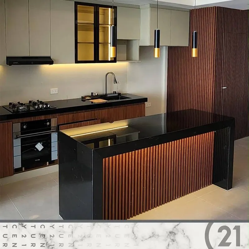 Brand-new 4-bedroom house for sale on Av. Alemana, North Zone: foto 1 de 13
