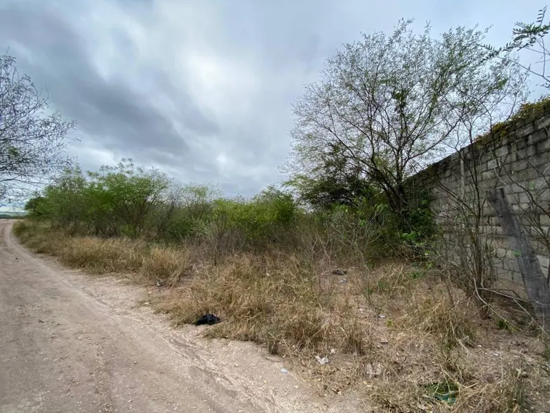 Terreno de 3.722,70 m² en venta en Puerto Suárez: foto 3 de 3