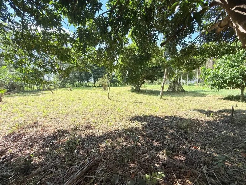 Terreno de 1.341,80 m² en venta en Complejo Campestre Norte, Warnes: foto 4 de 10