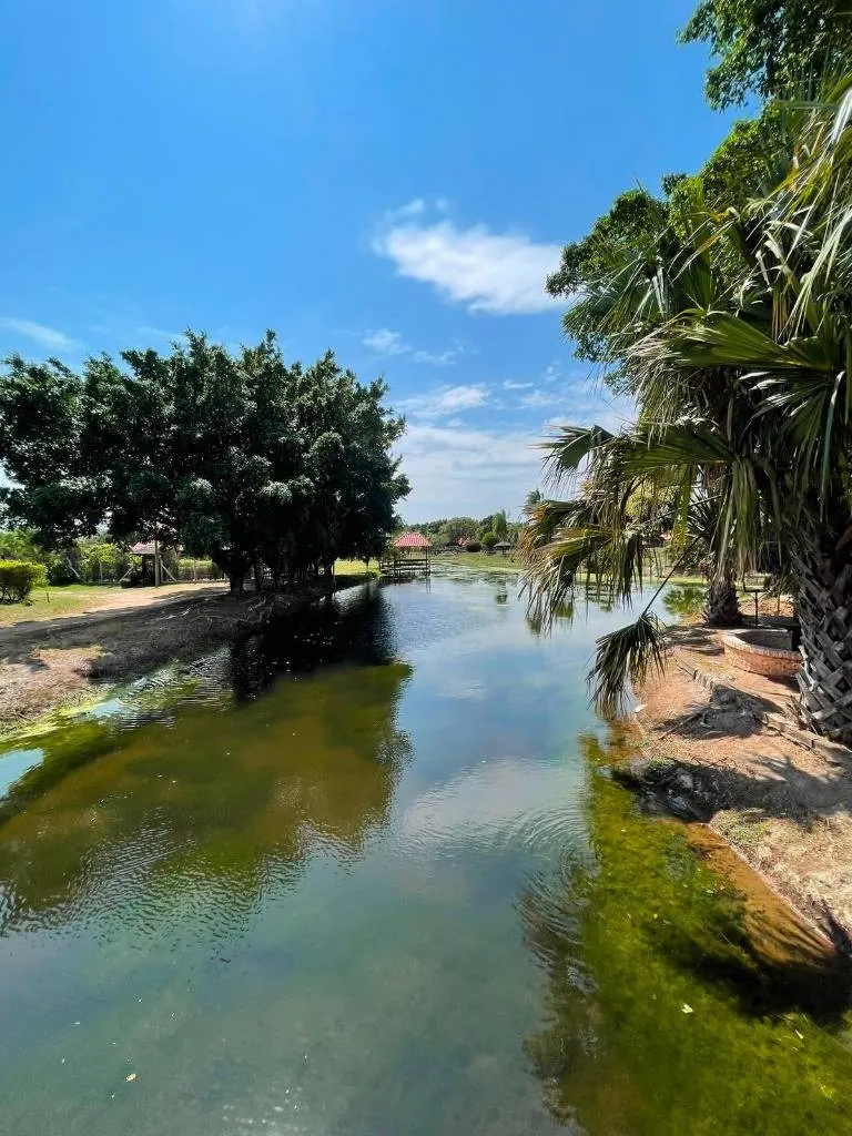 Terreno de 682,65 m² en venta en Complejo Campestre Norte, Warnes: foto 4 de 9