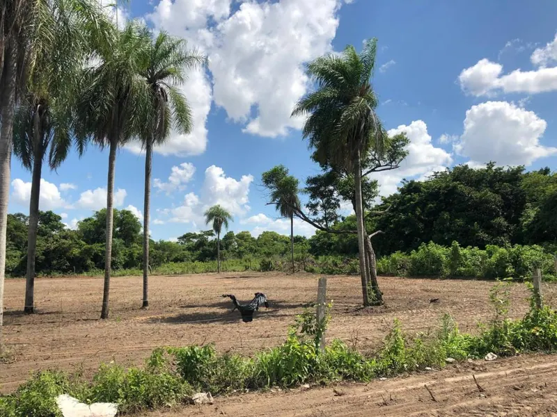 Terreno de 499,54 m² en venta en Los Mangales, Zona Este: foto 2 de 4