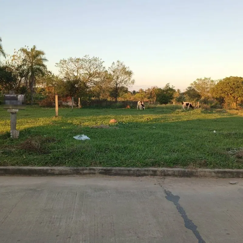Terreno de 484,84 m² en venta en Montero