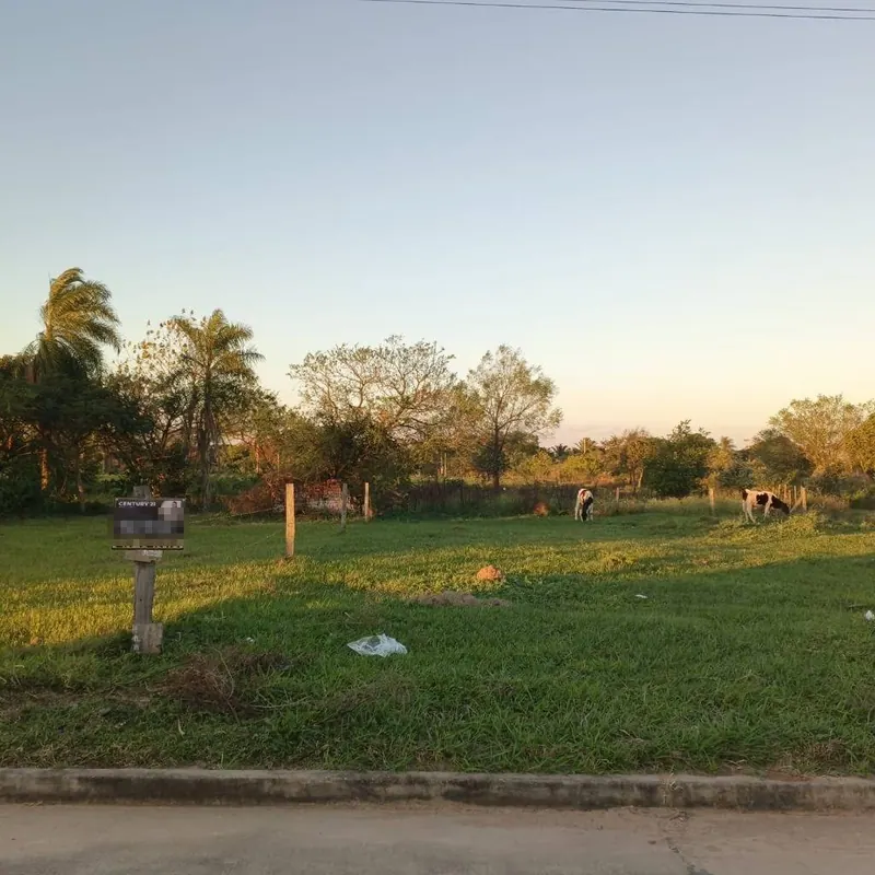 Terreno de 484,84 m² en venta en Montero: foto 2 de 3