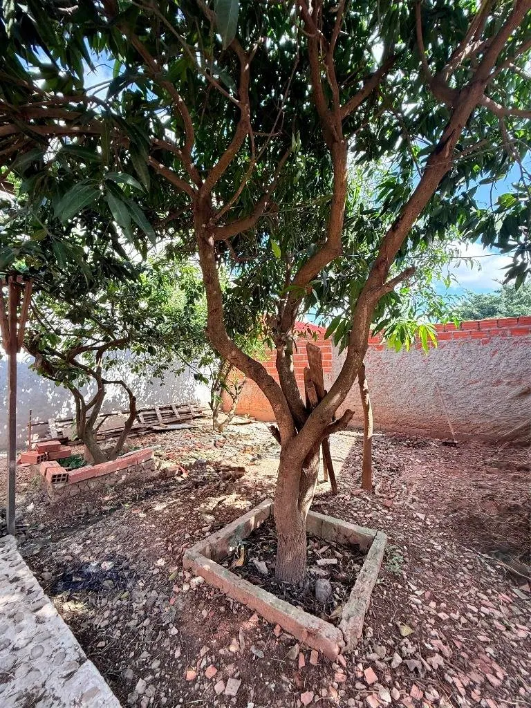 Casa con tienda en venta sobre avenida en Gran Paititi, Warnes: foto 8 de 13