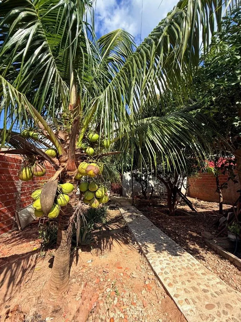 Casa con tienda en venta sobre avenida en Gran Paititi, Warnes: foto 10 de 13