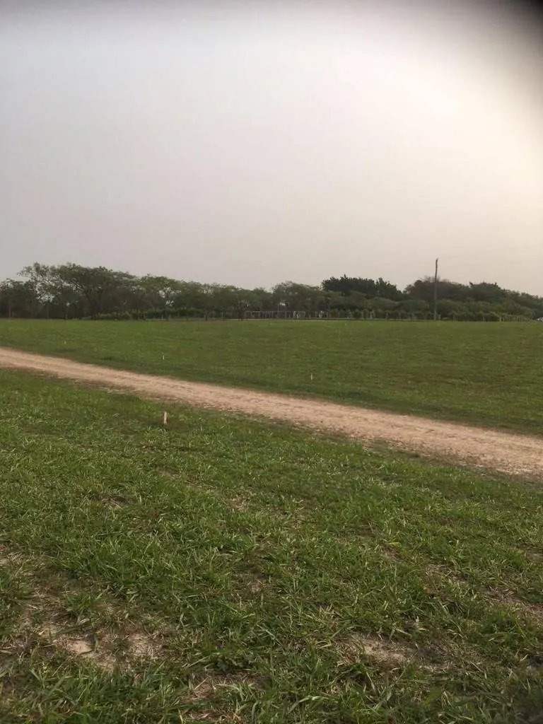 Terreno de 300 m² en venta en el Urubó, Complejo Campestre: foto 6 de 7