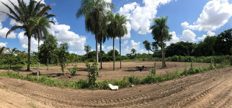 366 m² lot for sale in the Los Mangales development, East Zone: foto 1 de 4