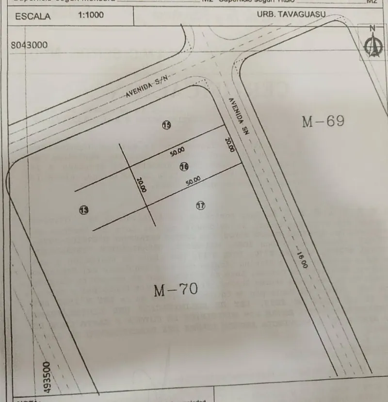 Terreno de 1.000 m² en venta en la Urbanización Tavaguazú: foto 2 de 2