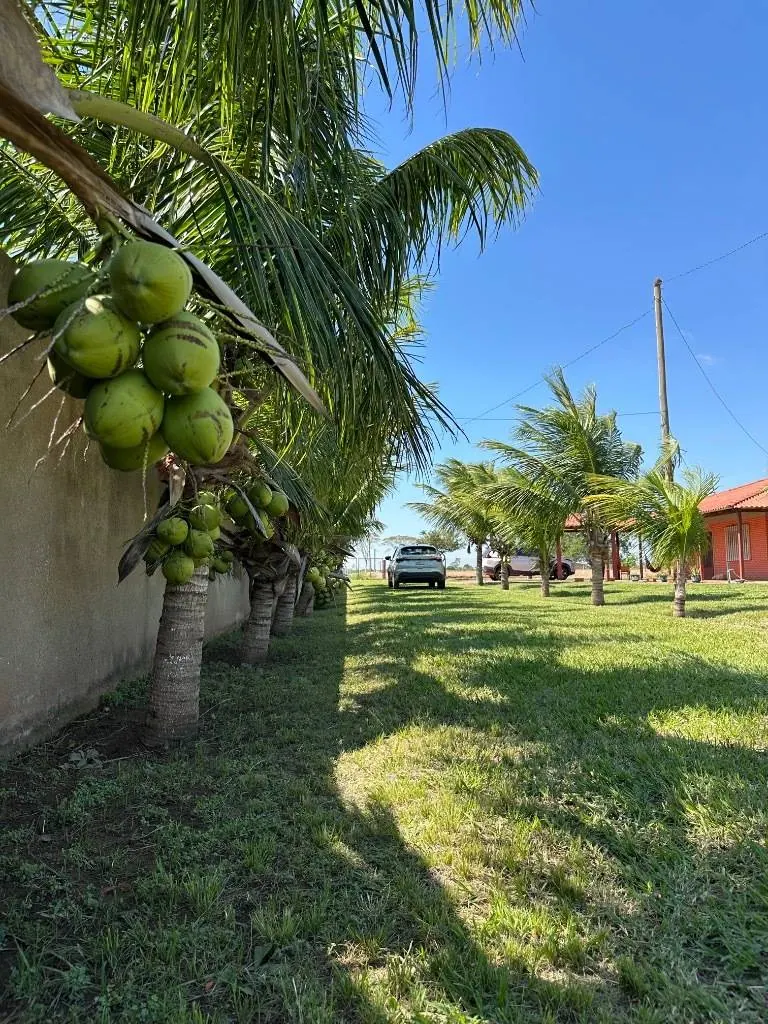 6,054 m² country property for sale in Cotoca, on the Third Ring: foto 2 de 19