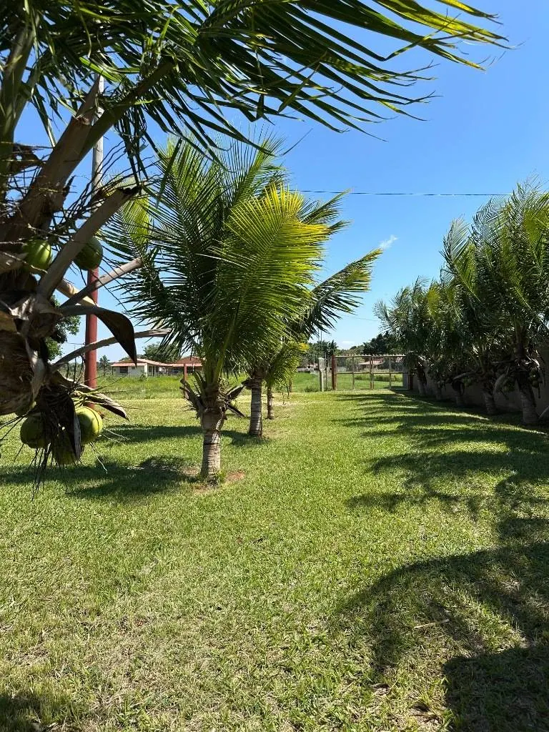6,054 m² country property for sale in Cotoca, on the Third Ring: foto 5 de 19