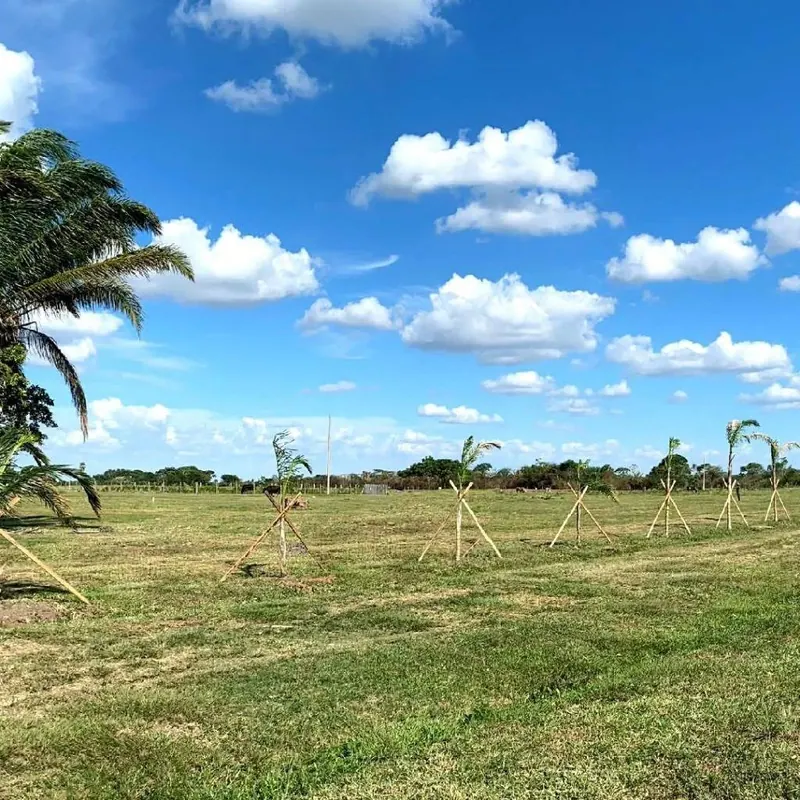 Terreno de 250 m² en venta en la Urbanización Los Pinos II: foto 1 de 1