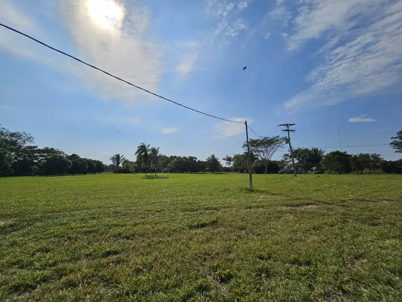 9.22-hectare country property for sale in Colpa Bélgica, with pool: foto 28 de 36