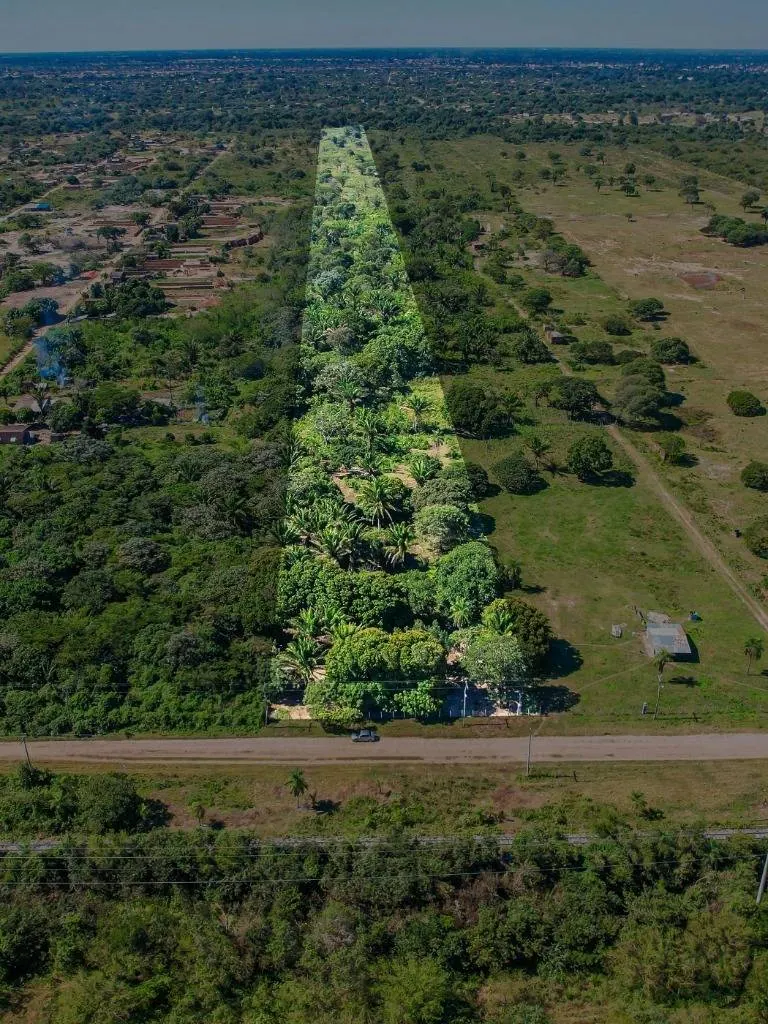 63,550.78 m² lot for sale in the North Zone, Nueva Santa Cruz: foto 3 de 10
