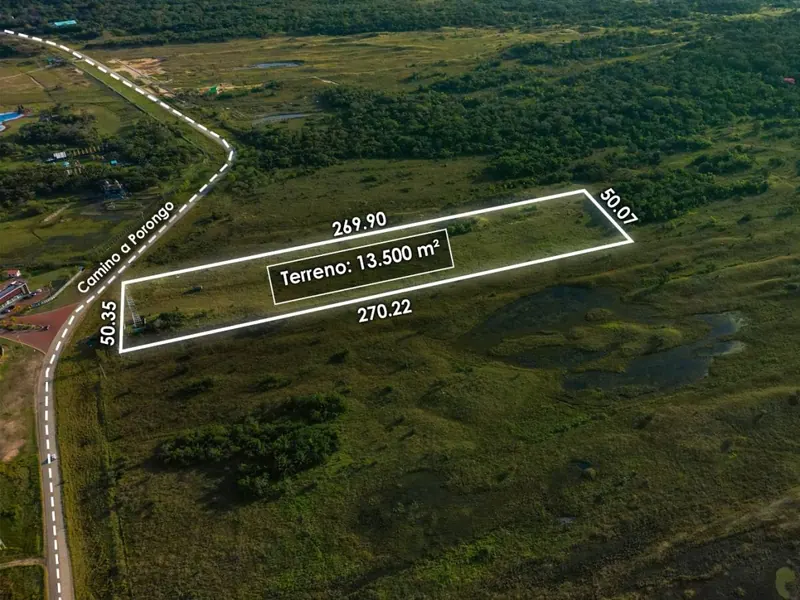 Terreno de 13.500 m² en venta en el Urubó, camino a Porongo: foto 5 de 7
