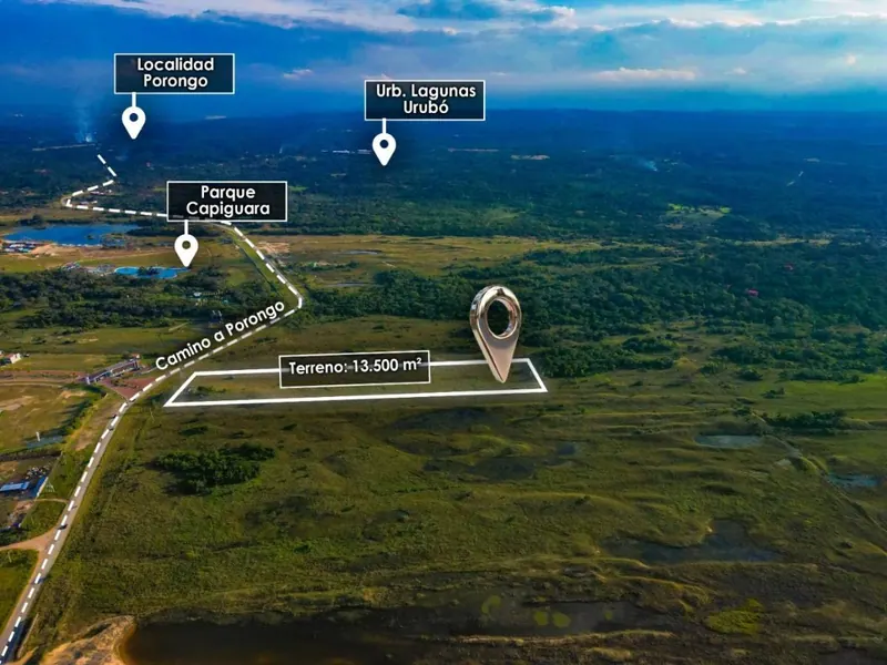 Terreno de 13.500 m² en venta en el Urubó, camino a Porongo: foto 6 de 7