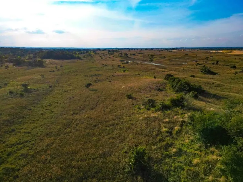Terreno de 13.500 m² en venta en el Urubó, camino a Porongo: foto 7 de 7