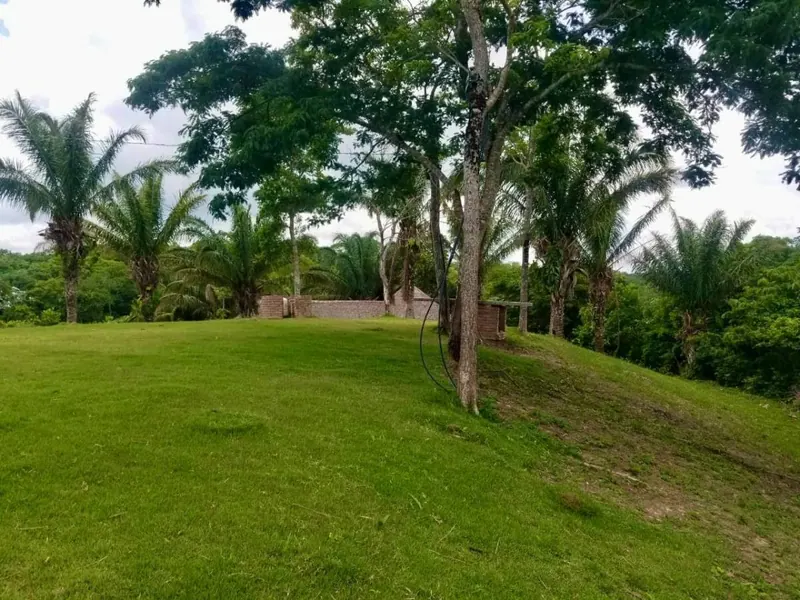 Casa quinta de 17 hectáreas en venta en el Urubó, La Perdiz: foto 11 de 15