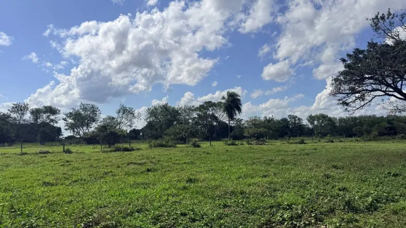 Terreno de 300 m² en venta en el final de la av. Virgen de Luján: foto 1 de 2
