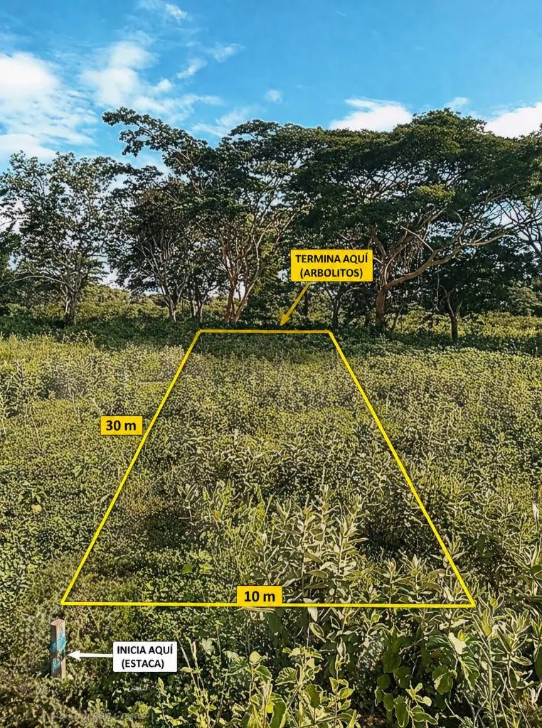 Terreno de 300 m² en venta en la urbanización Guapomo 5, Zona Este: foto 4 de 5