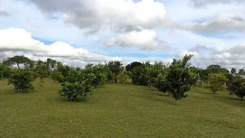 Terreno de 5.379,07 m² en venta en Las Barreras, Warnes: foto 2 de 3