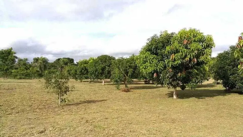 Terreno de 5.383,2 m² en venta en Las Barreras, Warnes: foto 1 de 3