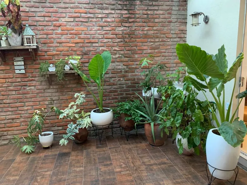 4-bedroom house for rent in the Palma Canaria gated community: foto 5 de 9