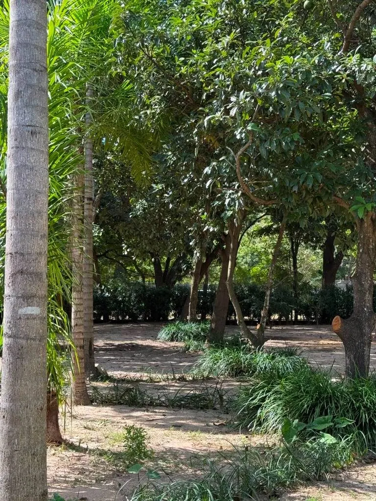 43,930.74 m² lot for sale in La Guardia, Quebrada Seca: foto 5 de 13
