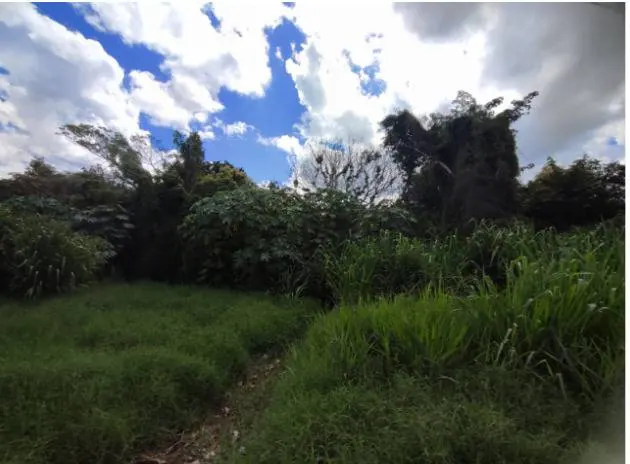 Terreno de 39.164,99 m² en venta en el Urubó, Villa Bonita: foto 4 de 5