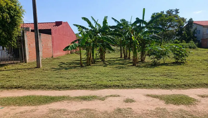 Terreno de 250,31 m² en venta en la Urbanización Santa Cecilia