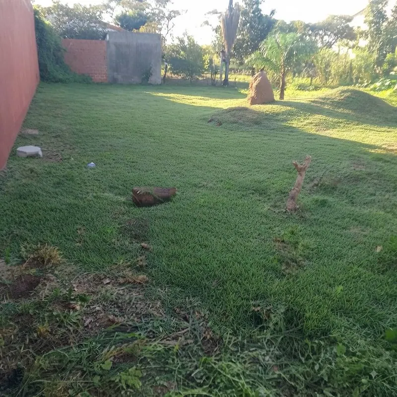250.31 m² lot for sale in the Santa Cecilia development: foto 4 de 8