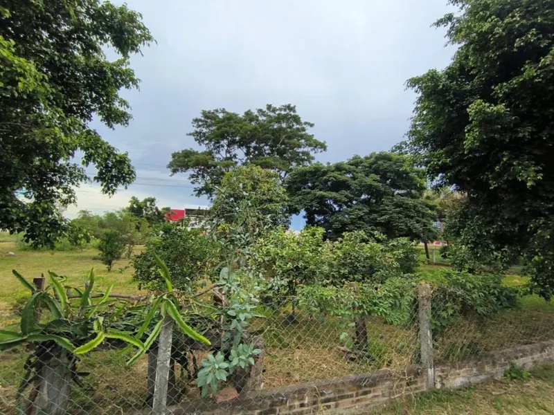 Commercial country property for sale on the Cotoca to Pailas highway: foto 7 de 11
