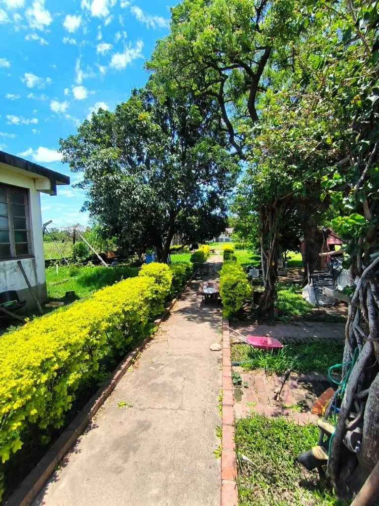 Commercial country property for sale on the Cotoca to Pailas highway: foto 8 de 11