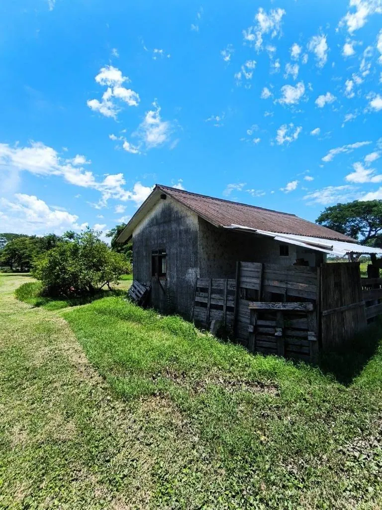 Commercial country property for sale on the Cotoca to Pailas highway: foto 9 de 11