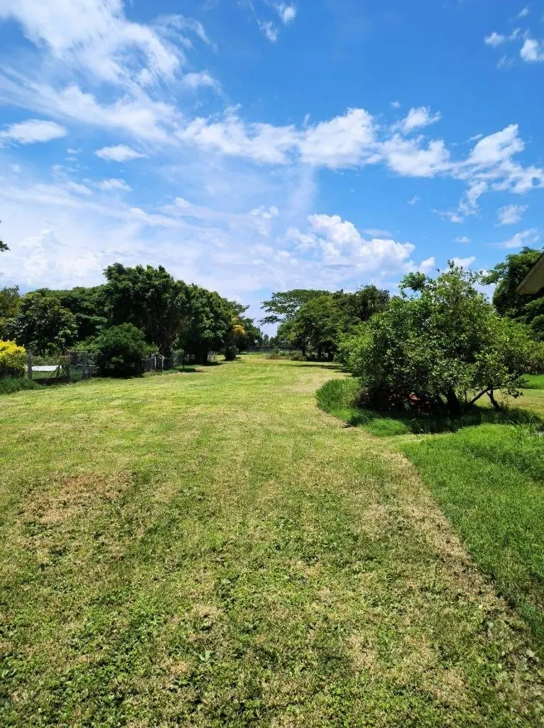 Commercial country property for sale on the Cotoca to Pailas highway: foto 10 de 11