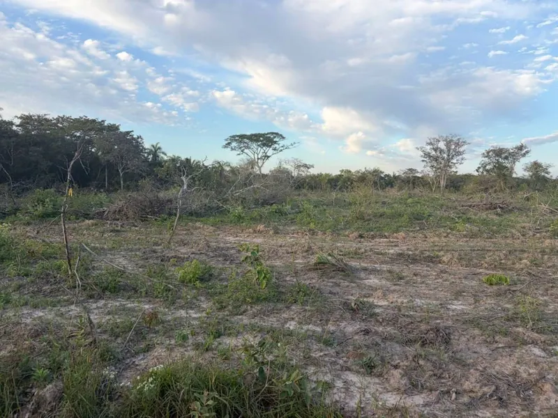 4,660 m² lot for sale in Urubó: foto 5 de 5