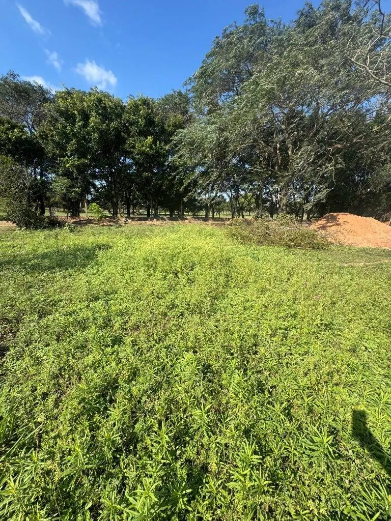 Terreno de 300 m² en venta en Warnes, Barrio Texas: foto 1 de 6
