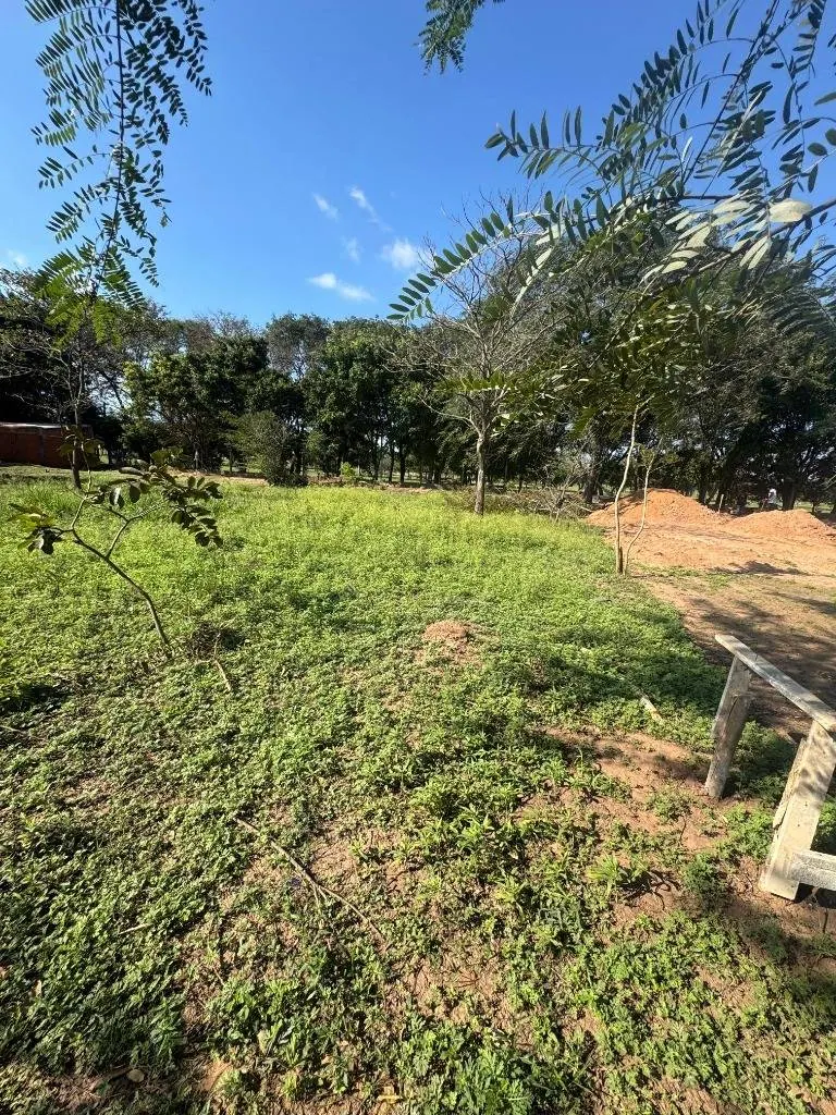 Terreno de 300 m² en venta en Warnes, Barrio Texas: foto 2 de 6