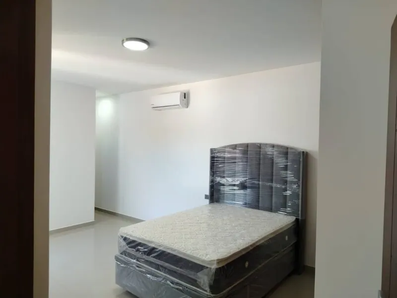 Casa amoblada a estrenar de 4 dormitorios en venta en la Zona Sur: foto 23 de 30