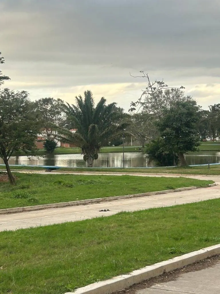 Terreno de 280 m² en venta en la urbanización Los Olivos, Zona Norte: foto 4 de 6
