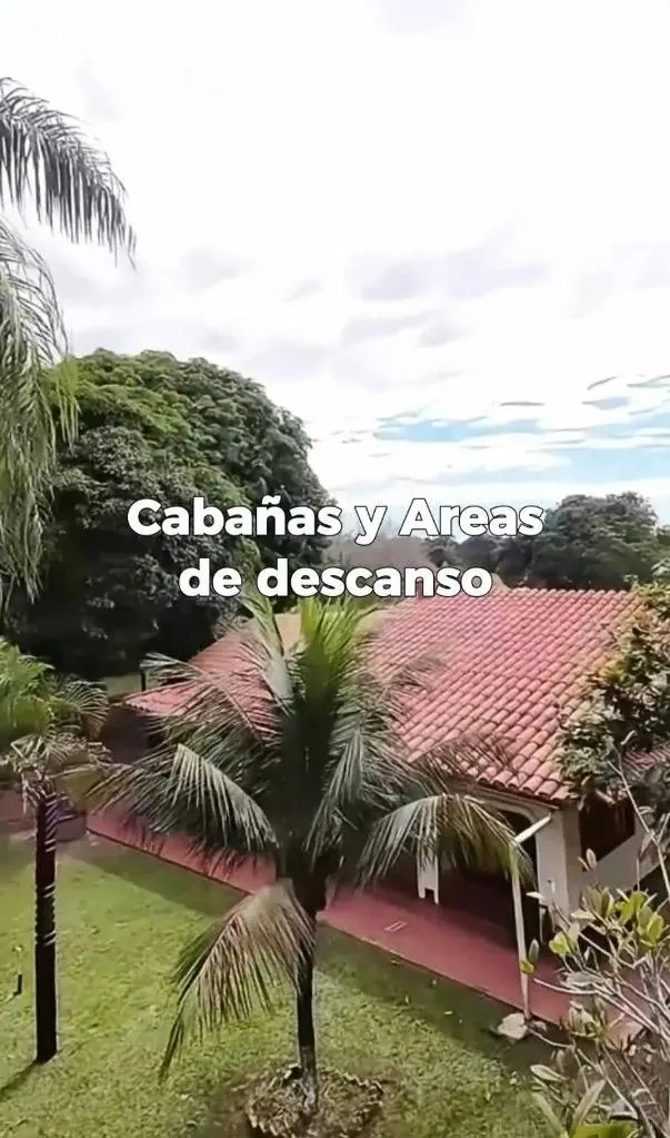 Propiedad rural de 20 hectáreas en venta en Buena Vista: foto 3 de 6