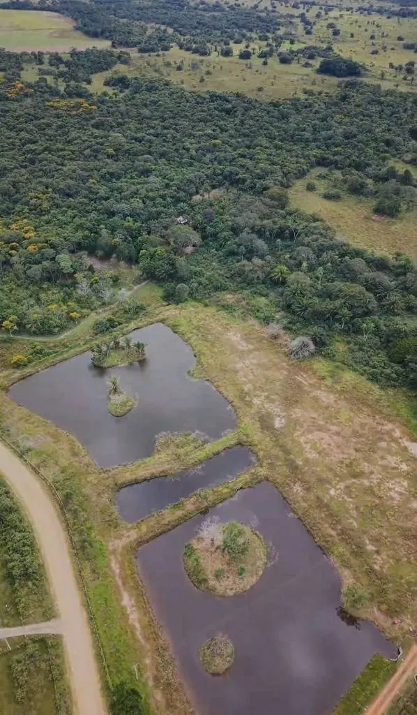 20-hectare rural property for sale in Buena Vista
