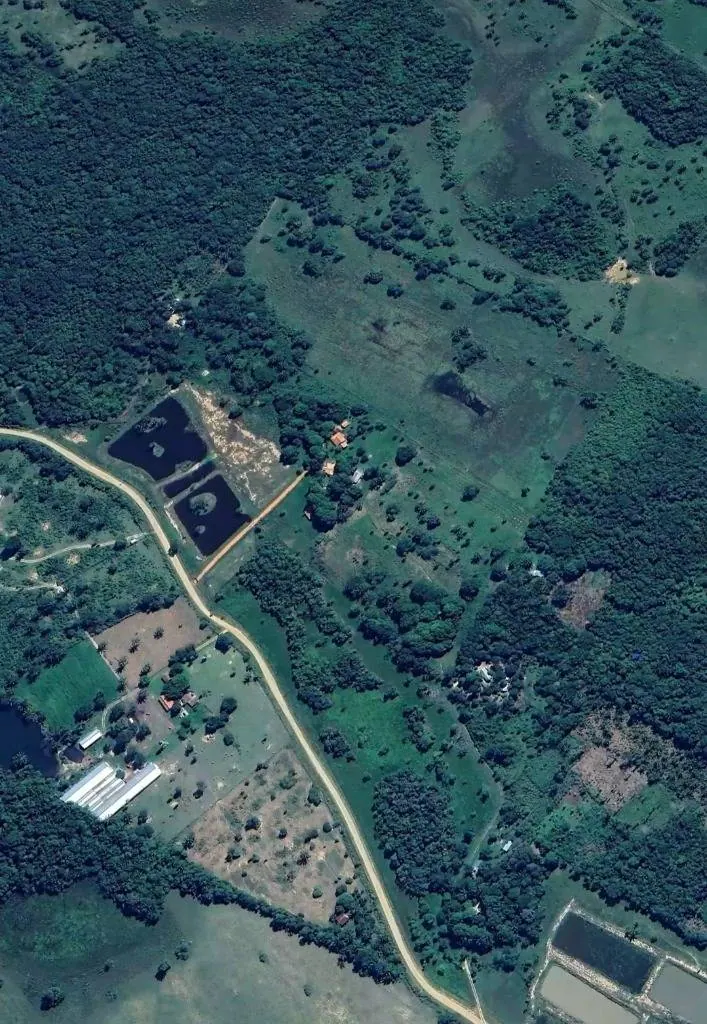 Propiedad rural de 20 hectáreas en venta en Buena Vista: foto 4 de 6