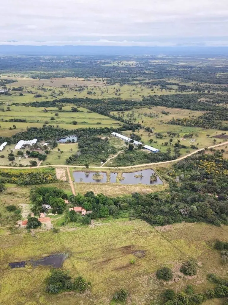 Propiedad rural de 20 hectáreas en venta en Buena Vista: foto 5 de 6