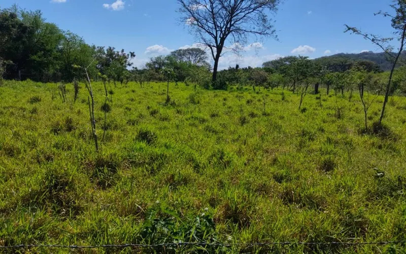 1,440 m² lot for sale in El Torno, Limoncito