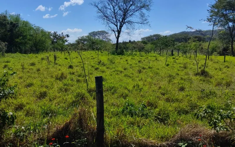Terreno de 1.440 m² en venta en El Torno, Limoncito: foto 2 de 5