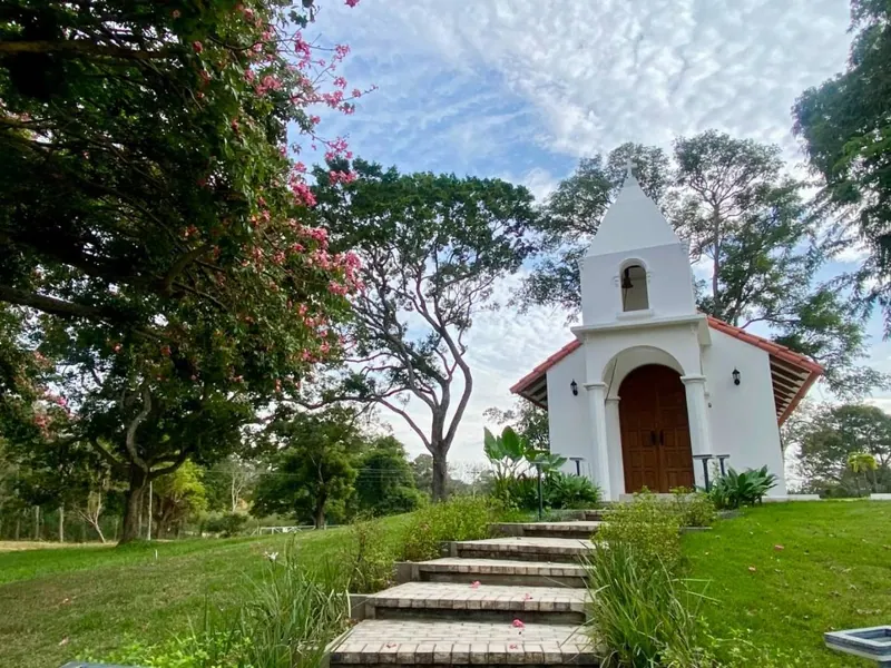 Terreno de 300 m² en venta en la urbanización Los Olivos, Zona Norte: foto 11 de 12