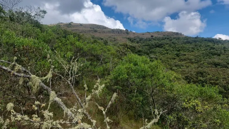 4,500 m² lot for sale in Las Colinas, Samaipata: foto 1 de 11